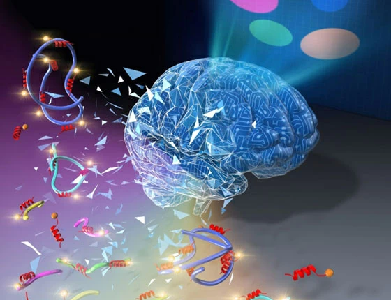 New Polymer Detection Method