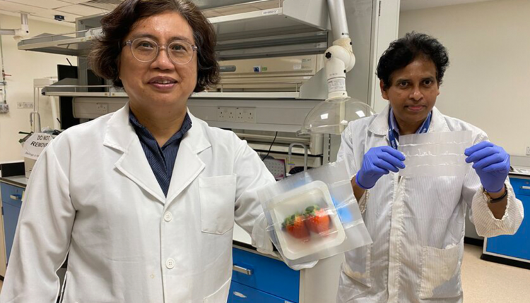 bacteria-killing packaging