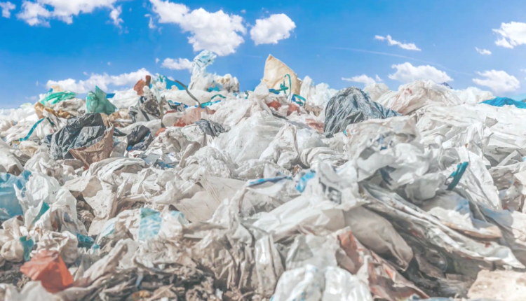 Plastic-eating Enzyme Could Eliminate Billions of Tons of Landfill Waste