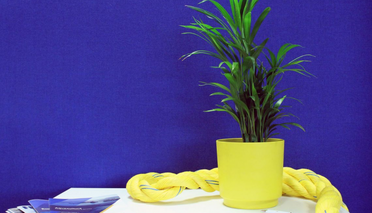 Gael Force plants the seed for rope recycling