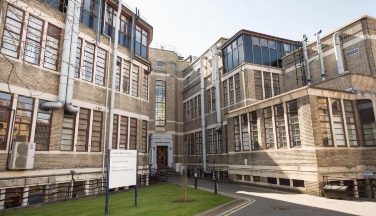 CHEMICAL PRODUCTION BREAKTHROUGH COULD MAKE £9BN INDUSTRY