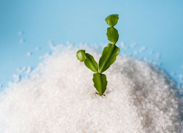 Alphagary, Orbia’s Polymer Solutions brand