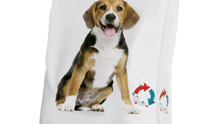 Get in the Loop at Interpack 2023